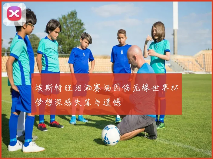 埃斯特旺泪洒赛场因伤无缘世界杯梦想深感失落与遗憾
