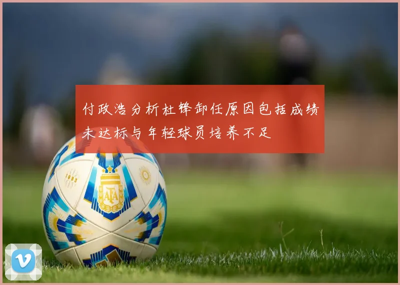 付政浩分析杜锋卸任原因包括成绩未达标与年轻球员培养不足