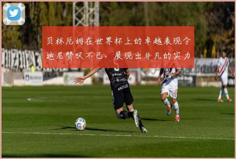贝林厄姆在世界杯上的卓越表现令迪尼赞叹不已，展现出非凡的实力与魅力